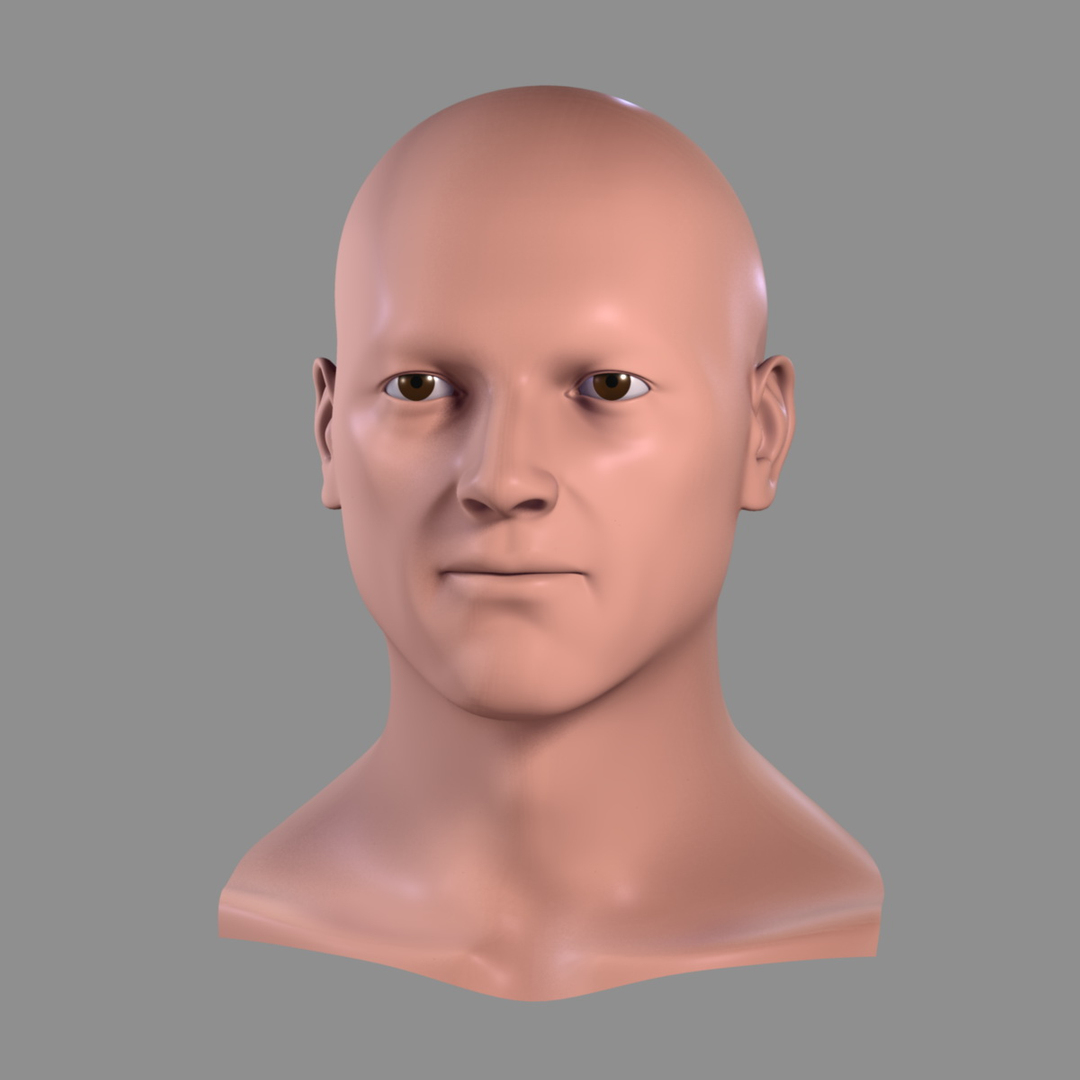 Realistic Male Head 3d Model