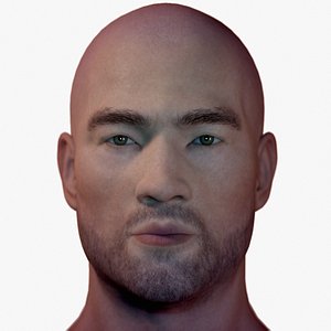 3D male head asian model