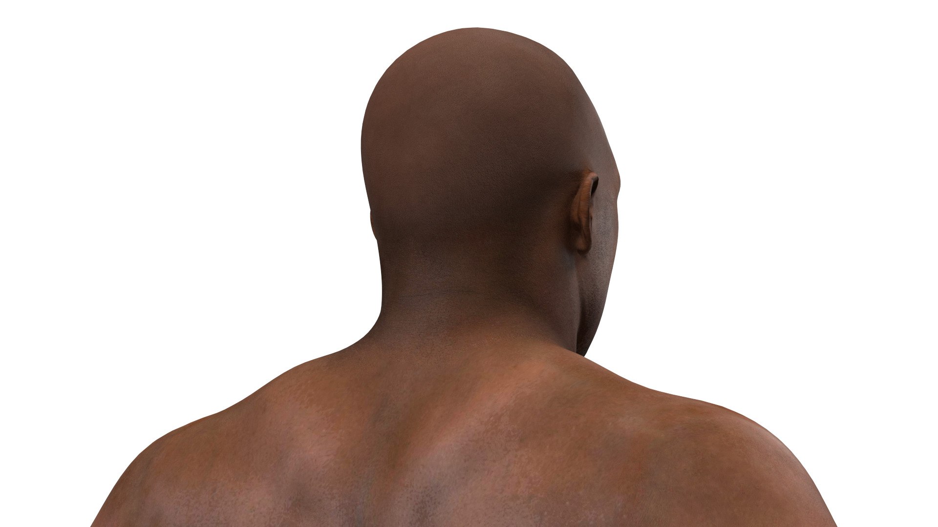 3D International Boxing Federation Champion Rigged https://p.turbosquid.com/ts-thumb/nL/og9iS6/Os/internationalboxingfederationchampionrigged3dmodel012/jpg/1694250499/1920x1080/fit_q87/12abdf60e226b8f2692187fc2d4623b33afbad88/internationalboxingfederationchampionrigged3dmodel012.jpg