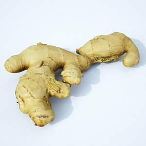 Ginger 4
