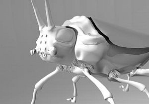 grasshopper insects 3d model