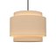RH Echelon Pendant 30in