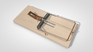 Mouse Trap