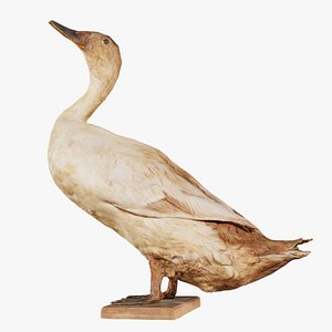 Duck Remastered 3D model