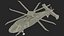 L'elicottero Sikorsky RAIDER attrezzato per Cinema 4D