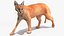 3D Caracal Rigged for Cinema 4D