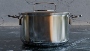Stainless Steel Pot