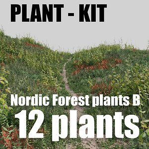 3D nordic forest plants b