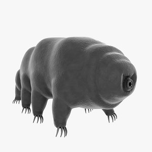 Tardigrade