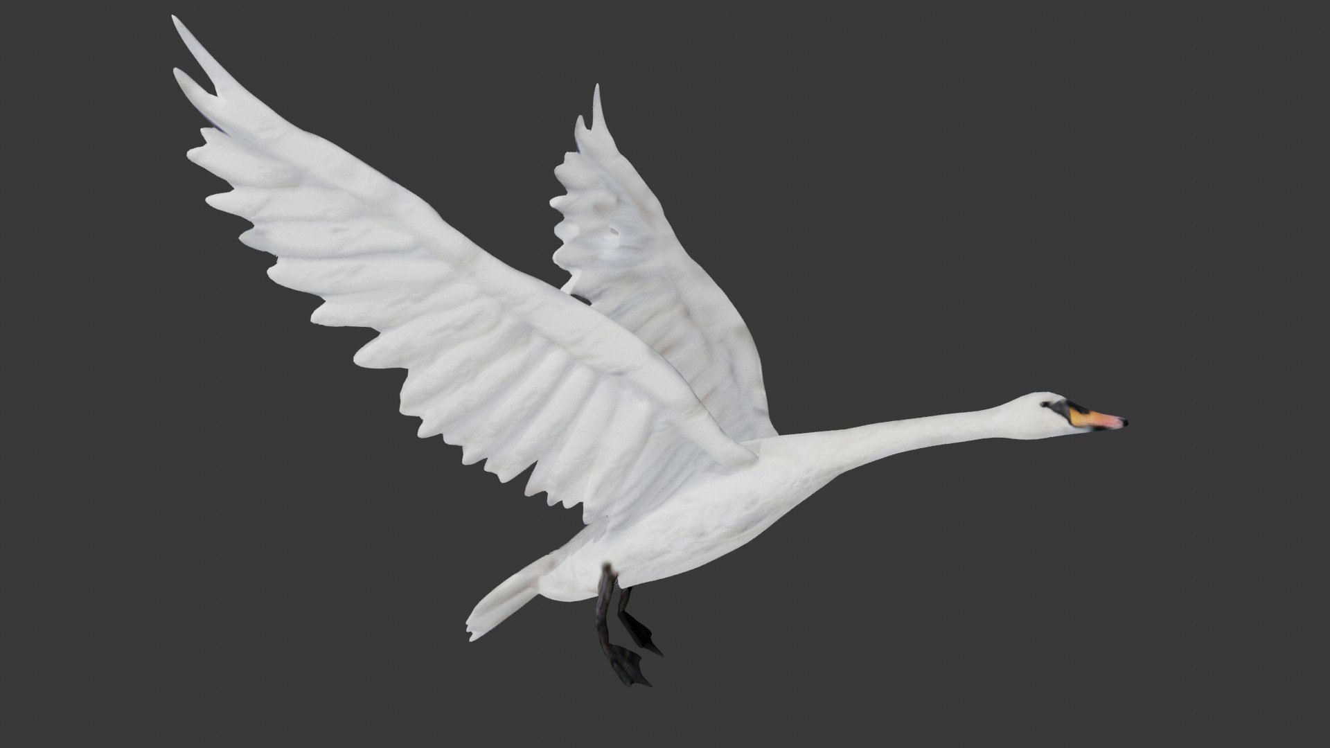 Fully rigged low poly flying swan 3D model https://p.turbosquid.com/ts-thumb/nM/QldFVb/Q8/3/jpg/1623820130/1920x1080/fit_q87/5100034ad27daaab44eefcc96d04b79171e3228a/3.jpg