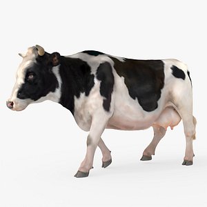 3D Cow Rigged Fur For Blender Animated Set