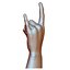 Hard rock hand gesture male