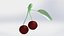 3D model Cherry