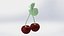 3D model Cherry