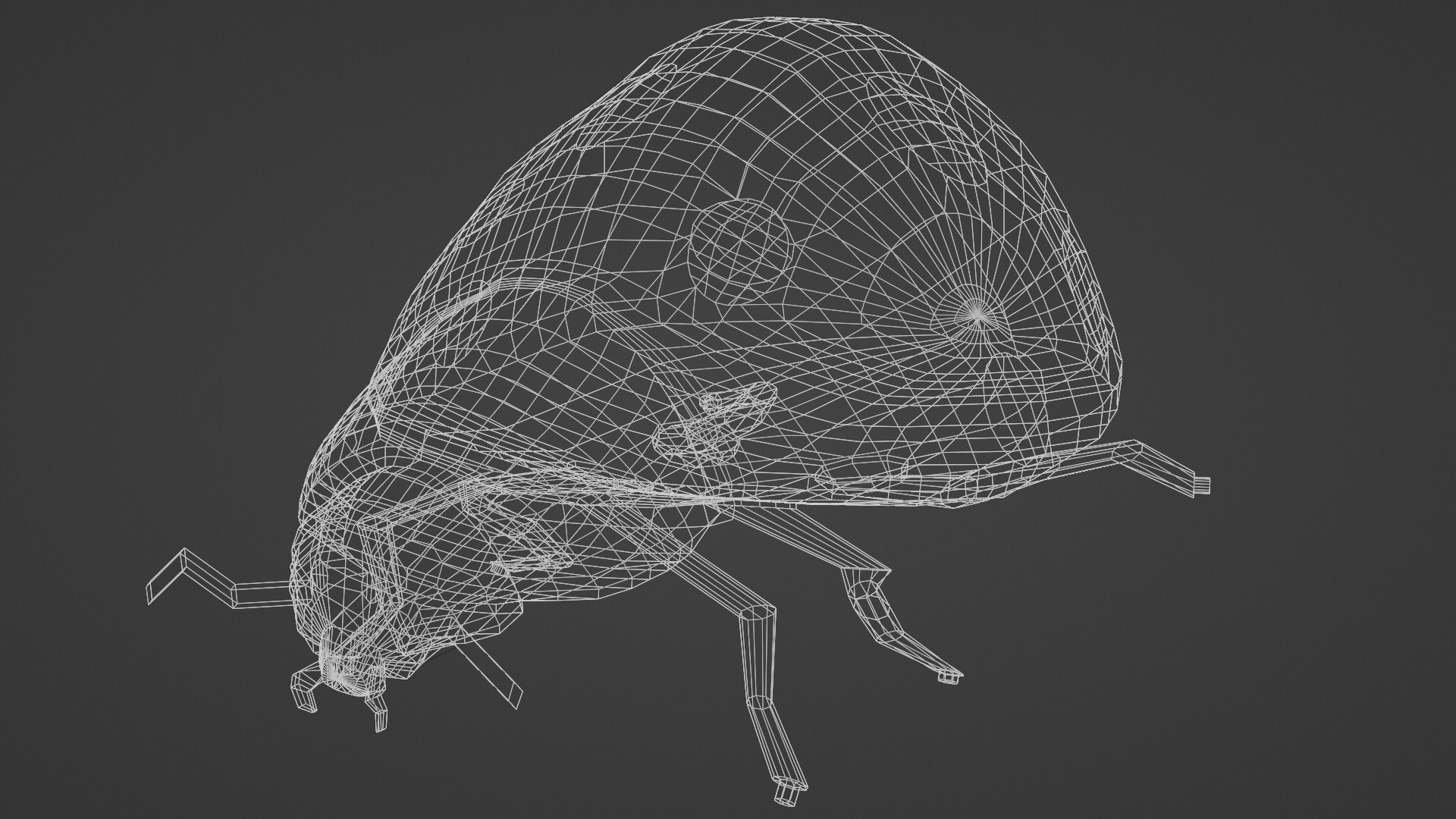 3D Ladybug BLEND AND OBJ - TurboSquid 2320197