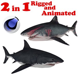 Great White Shark 2 in 1 Rigged and animated 3D