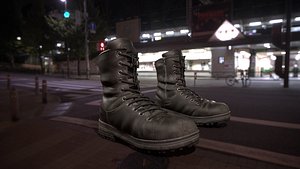 boots 2 color shoe 3D model