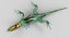 Lizard M