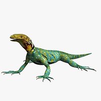 Lizard M