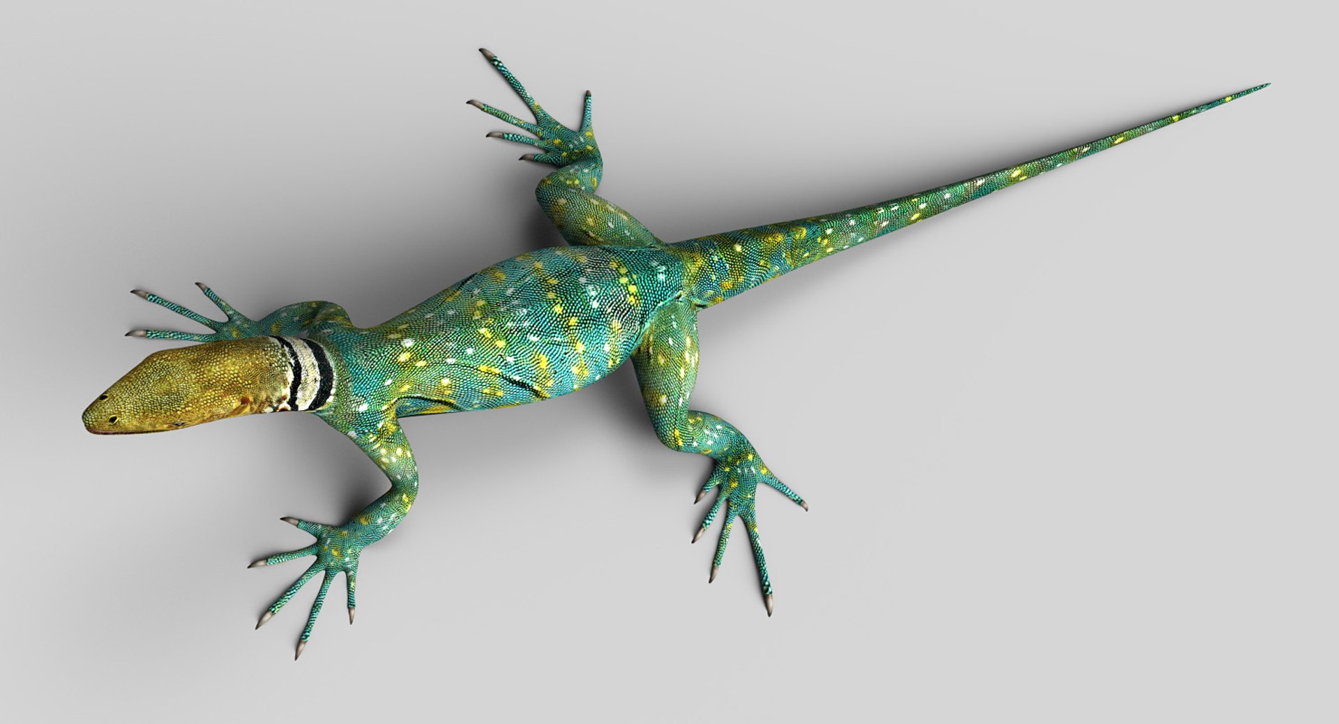 3D lizard reptiles animals https://p.turbosquid.com/ts-thumb/nN/RXzC2m/YV6Jofxt/lizardm_07/jpg/1547491181/1920x1080/fit_q87/718fb28b4ab23a13d79a3281dc74a41be810866a/lizardm_07.jpg
