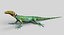 Lizard M