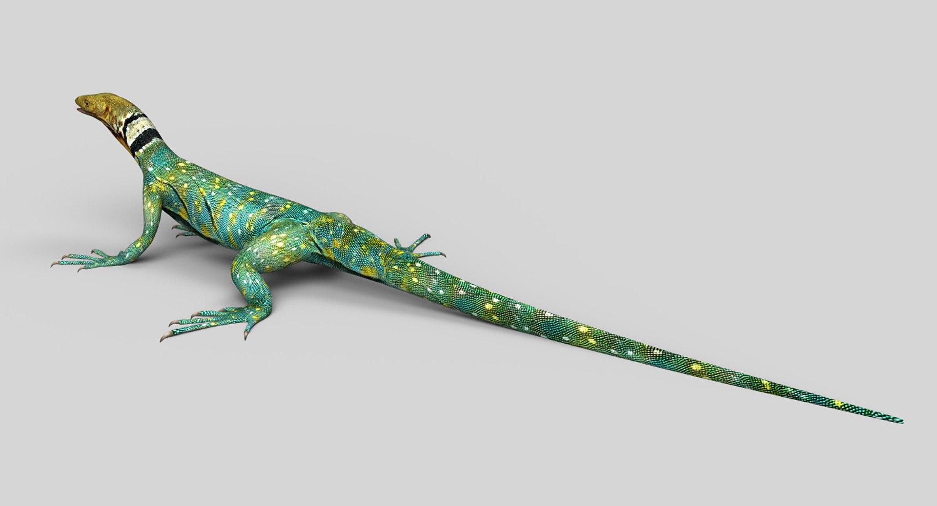 3D Lizard Reptiles Animals - TurboSquid 1366808