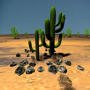 cactus tumbleweed rocks 3d model