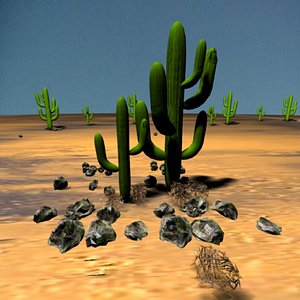 Desert Scene
