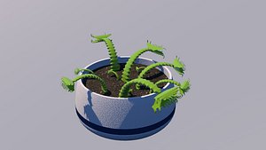carnivore plant 3D model