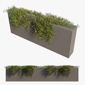 plant flower set 08 3D model