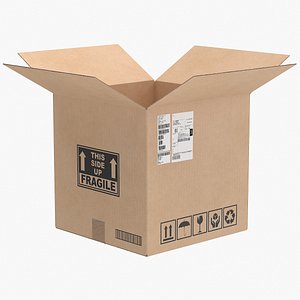 Cardboard Box 1 Open model
