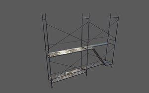 3D scaffold build model