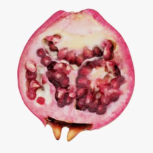 3D Pomegranate Half 2 Remastered