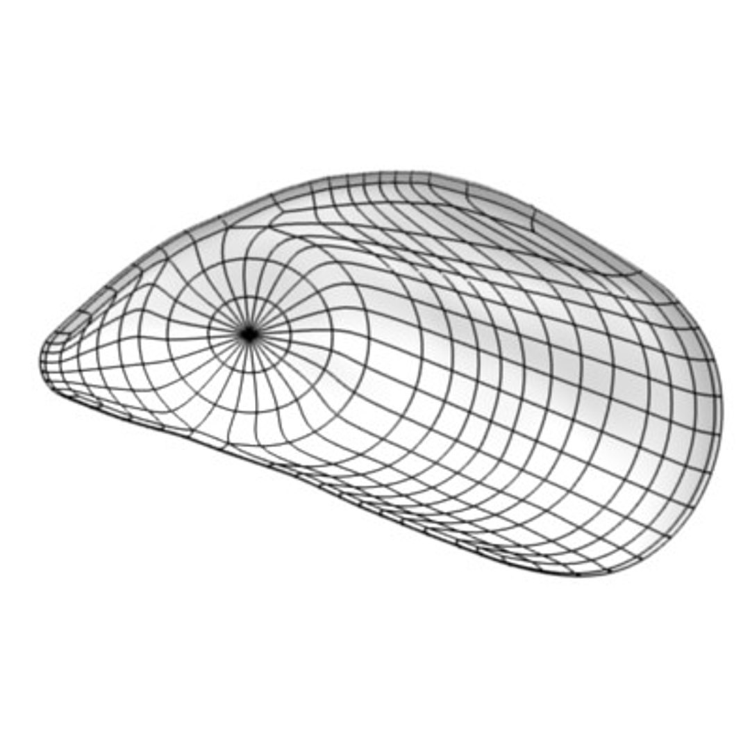 sea shell 3d model https://p.turbosquid.com/ts-thumb/nN/u0jZKf/AILXdB4H/shell7w/jpg/1282055368/1920x1080/fit_q87/4773a4c4c3877e33c0d694d3e7f386042f2cebf2/shell7w.jpg