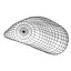 sea shell 3d model