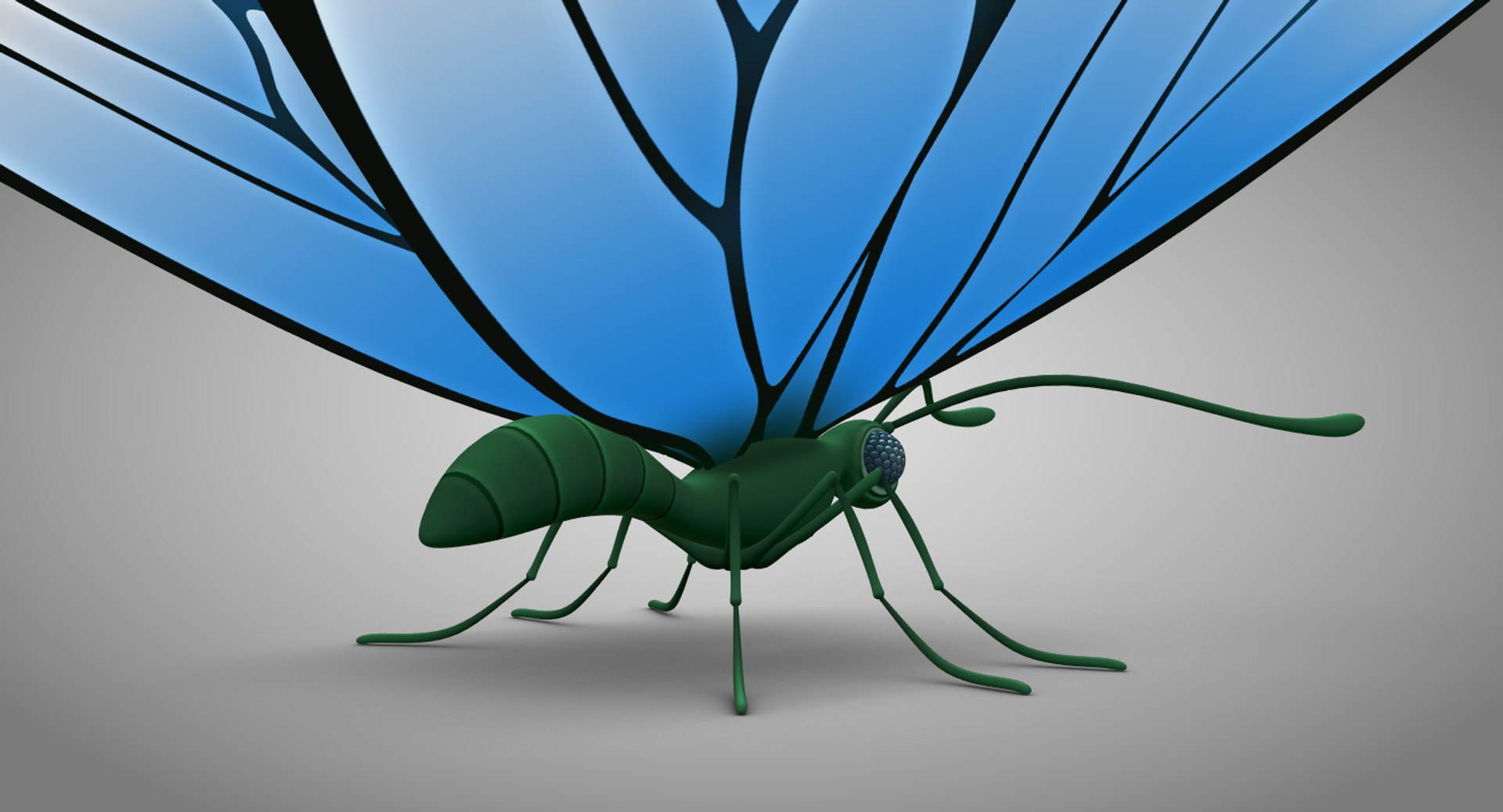 3d beautiful butterfly cartoon model https://p.turbosquid.com/ts-thumb/nN/vEudHi/64Qj3JCo/butterfly_04copy/jpg/1479312016/1920x1080/fit_q87/09b4774f236936f33b59d64085360ab38530c0b4/butterfly_04copy.jpg