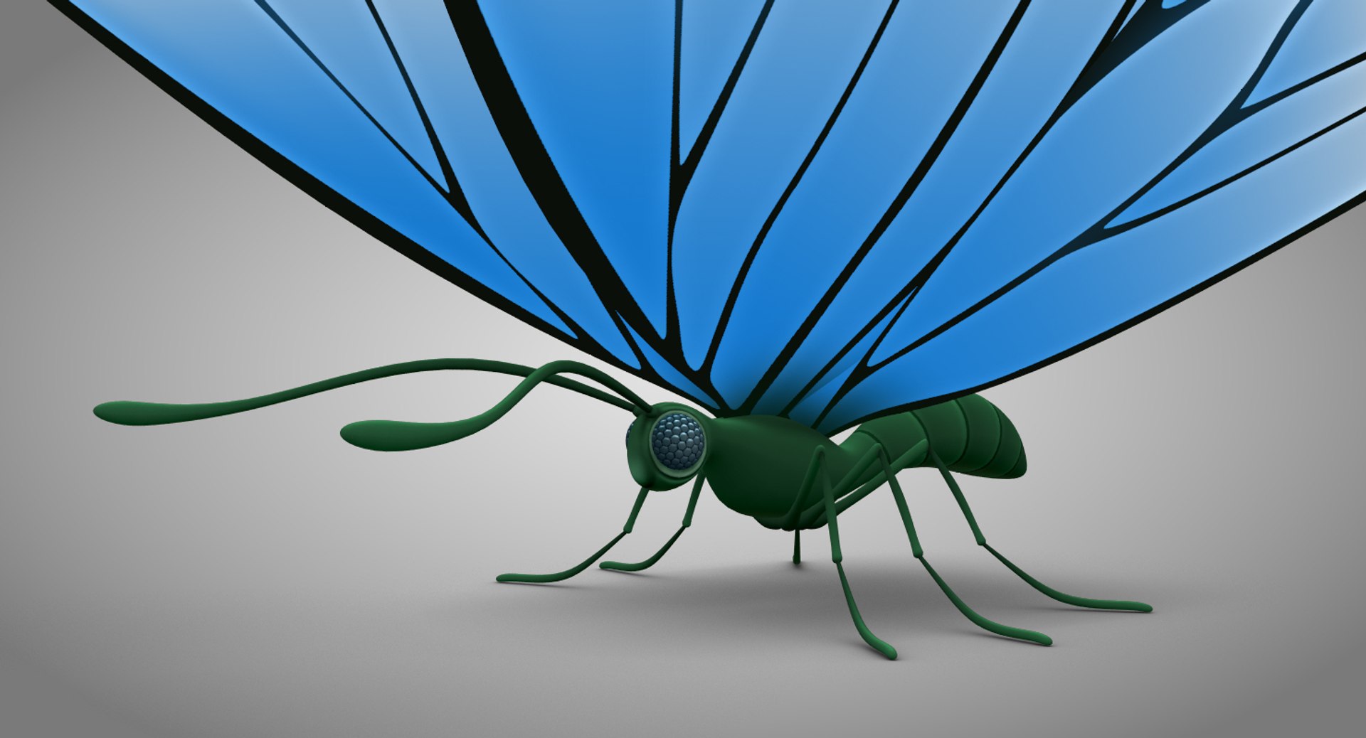 3d beautiful butterfly cartoon model https://p.turbosquid.com/ts-thumb/nN/vEudHi/J6gcrzR3/butterfly_03copy/jpg/1479312016/1920x1080/fit_q87/00a3a1c7d1472ca96934ea6e7948fd0a52547f19/butterfly_03copy.jpg