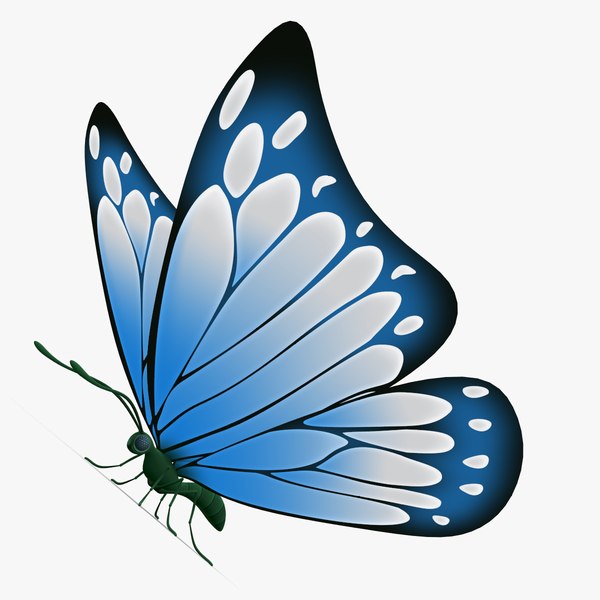 cartoon butterfly