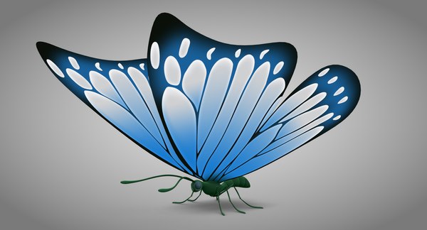 Blue Butterfly 3D, Incl. insect & beautiful - Envato Elements