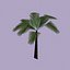 PALM001 GR