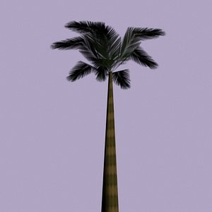 3d tropical palm model
