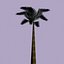 PALM001 GR