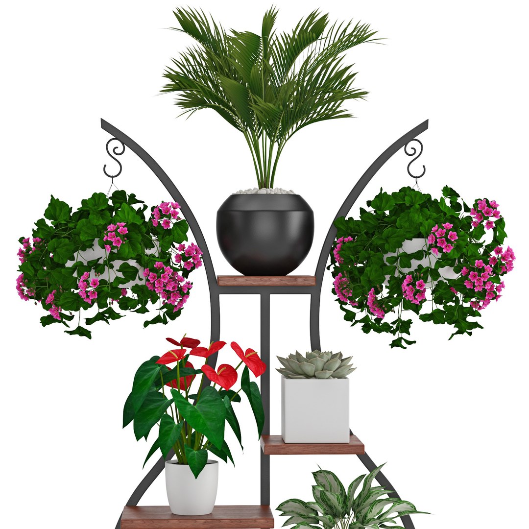3D Houseplant 57 https://p.turbosquid.com/ts-thumb/nN/wKmWYt/4e/05/jpg/1619504842/1920x1080/fit_q87/270048bdbcb130f4761de0503af13c76a4bc578d/05.jpg