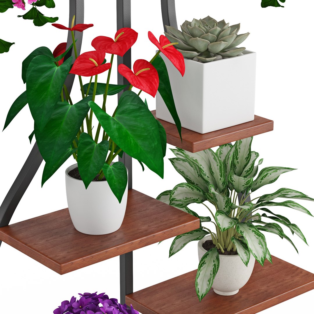 3D Houseplant 57 https://p.turbosquid.com/ts-thumb/nN/wKmWYt/aL/6/jpg/1619504888/1920x1080/fit_q87/bbc7de4fa8bbd73e8b38bbe1cb0d9b6a7e8f643d/6.jpg