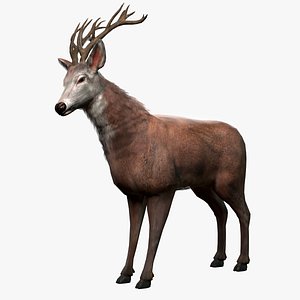 Lowpoly Deer With Fur