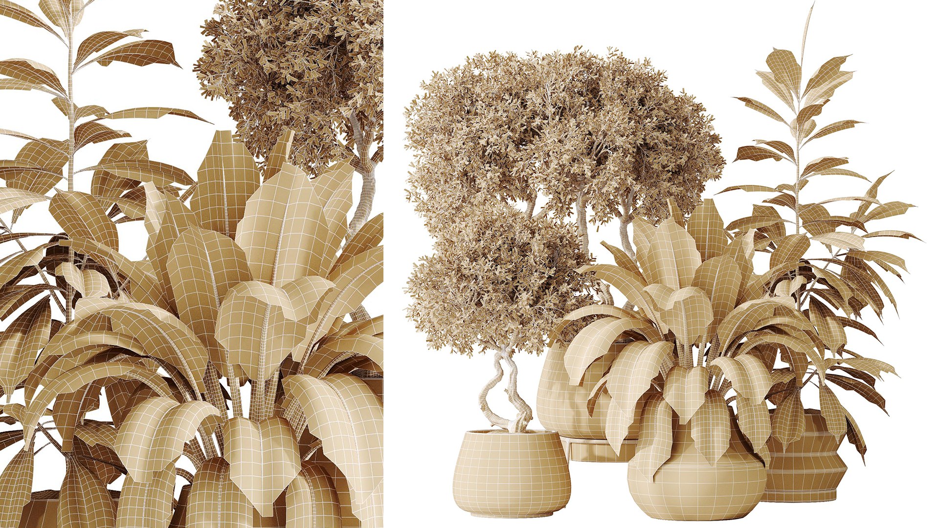 AV Indoor plants set 173 Mission Leccino Arbequina and Ficus Robusta Abidjan and Ficus African Fig 3D model https://p.turbosquid.com/ts-thumb/nO/0xMPIe/YU/07/png/1737184455/1920x1080/fit_q87/711a4544dd8620ecd41000c70bc5da28550df66c/07.jpg