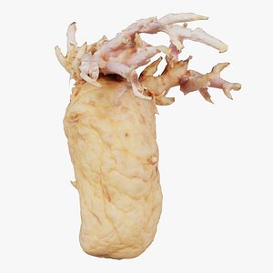 Shriveled Potatoe 1 Remastered