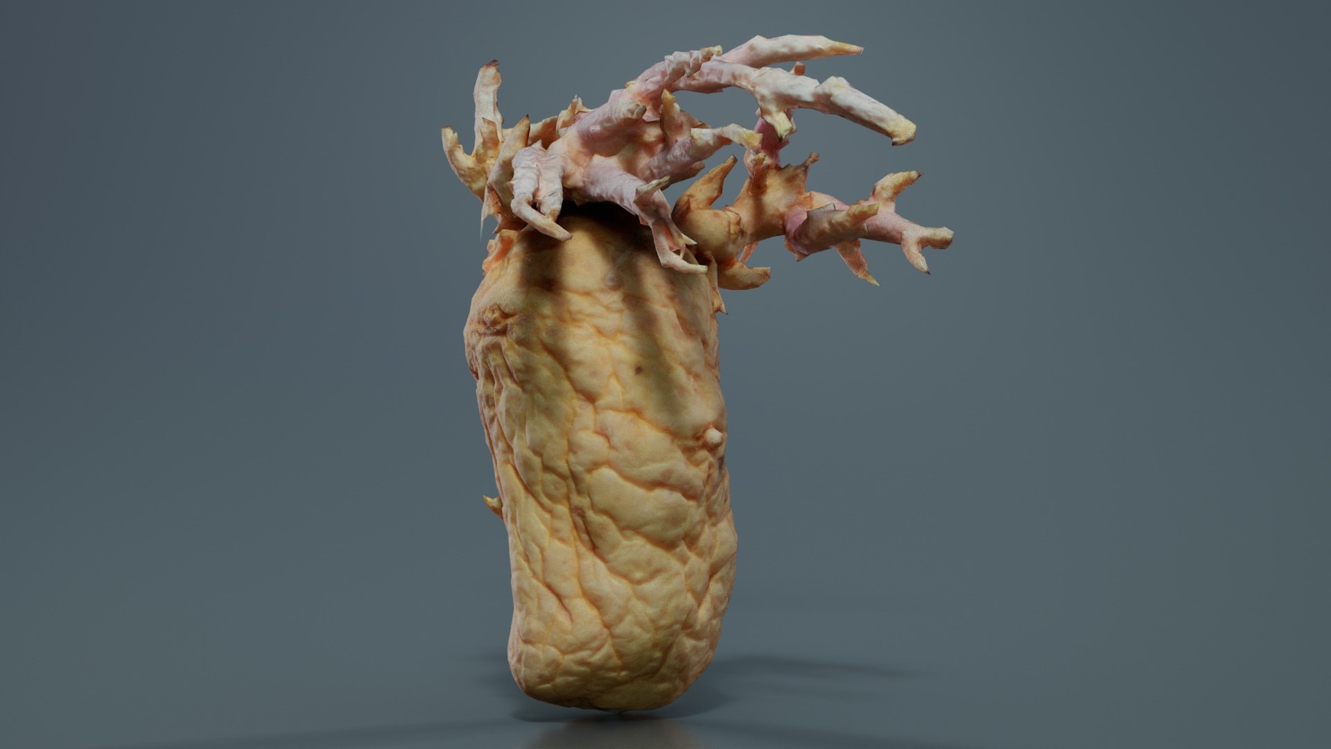 3D Shriveled Potatoe 1 Remastered https://p.turbosquid.com/ts-thumb/nO/GuDyzZ/RX/shriveled_potatoe_1_05/jpg/1740394249/1920x1080/fit_q87/e8bd1d8800933d879ea5254ddf972fc2b742d099/shriveled_potatoe_1_05.jpg