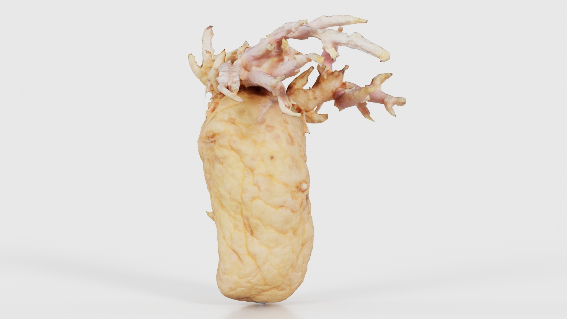 3D Shriveled Potatoe 1 Remastered https://p.turbosquid.com/ts-thumb/nO/GuDyzZ/md/shriveled_potatoe_1_z_turntable/jpg/1740394258/1920x1080/turn_fit_q99/ad2e8f5eb6572845c7c9cb8378537a8ed2a50975/shriveled_potatoe_1_z_turntable-1.jpg