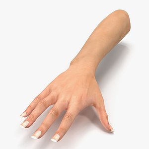 female hand 2 3d model